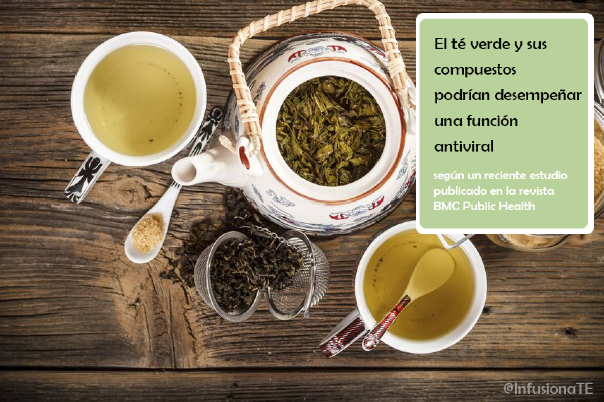 El té verde y sus compuestos (especialmente las catequinas) pueden desempeñar una función antiviral.
